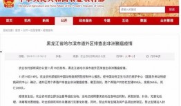 新闻哈尔滨疫情爆料,追踪病毒传播链，全力防控疫情蔓延