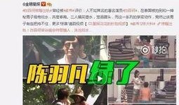 湛江渣男爆料出轨视频,一场背叛与背叛的较量